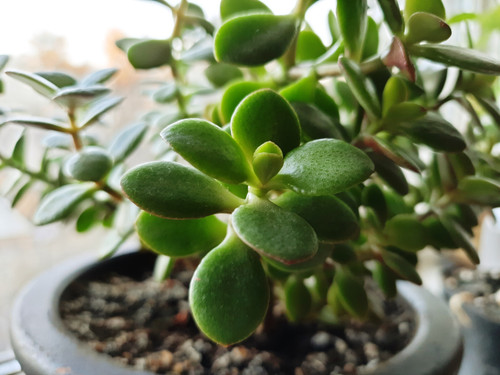 20210408 1946234.jpg