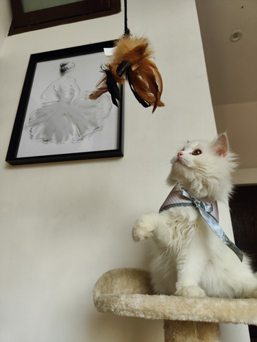 IMG20220526160531.jpg