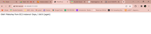 Activity02 rivasflaire.png