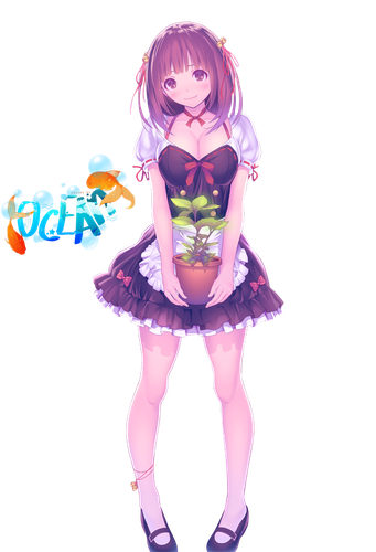 53631817 p0.png