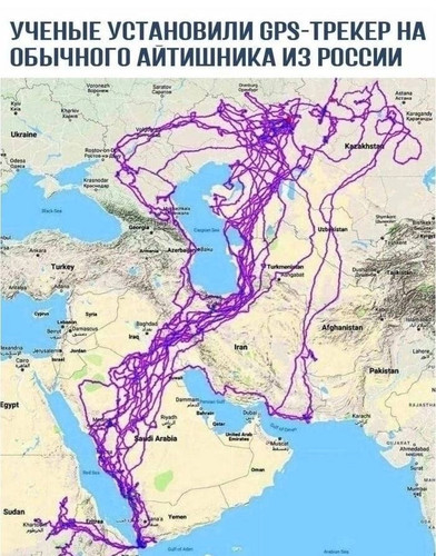 1687690103425.jpg