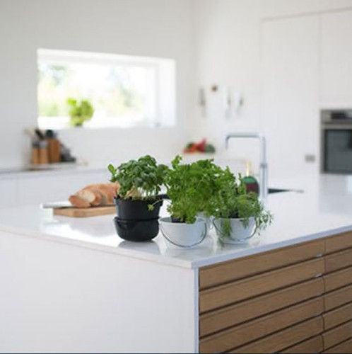 Kitchens Bendigo | GOFORTH Building Group.jpg