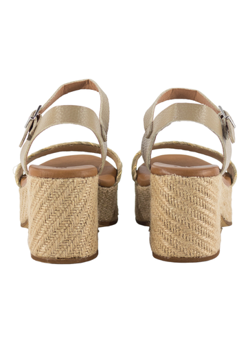 31503 2 PhotoRoom (2).png