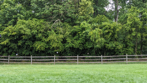 PXL 20230623 152415179~2