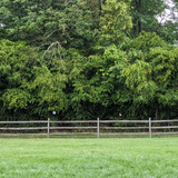 PXL 20230623 152415179~2