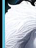 blanche 4.png