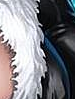 blanche 43.png