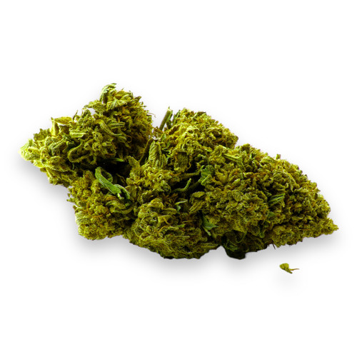 PhotoRoom 001 20230408 230533.jpg