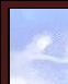 pirate 0.png