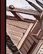 pirate 6.png