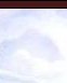 pirate 16.png