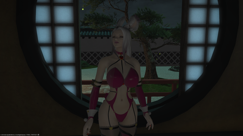ffxiv 12162022 212252 264.png