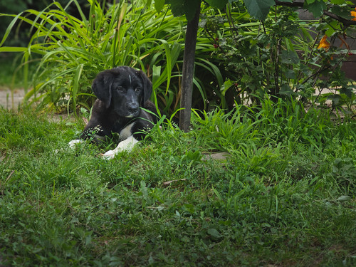 IMG 0535.jpg