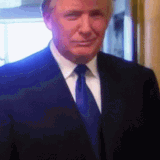 donald trump thumbs up.gif