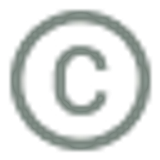 ant design copyright circle outlined