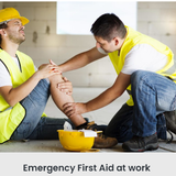 Mhfa Course Online.png