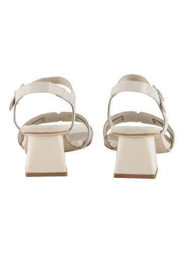 31508 2 PhotoRoom (2).jpg