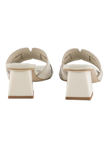 31505 2 PhotoRoom (2).jpg