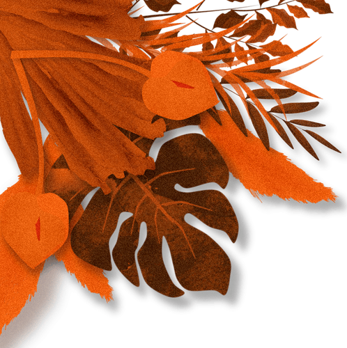 top left (2).png