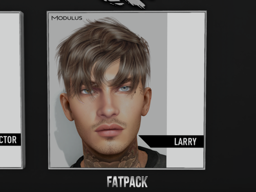 20230624 fruk modulus mens hair hats 004 small orig.png