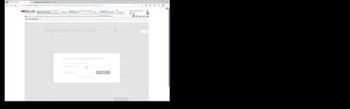 problem auth sms.jpg
