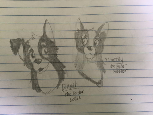 E7F8E024 F3B4 4B0E 9006 C91A378ADECE.jpg