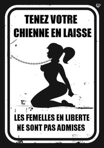 processed 17883776 64c5 4d41 99b5 728dd9e2472e 8Z9sbnkD 1.jpg