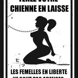 processed 17883776 64c5 4d41 99b5 728dd9e2472e 8Z9sbnkD 1