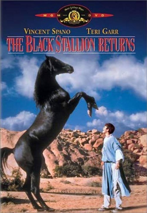 Powrót czarnego rumaka / The Black Stallion Returns (1983) PL.1080p.WEB-DL.H264-wasik / Lektor PL