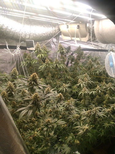 IMG 20230620 010801 1.jpg