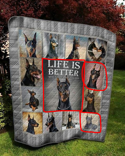 z4447995146646 c45d202b236b9c5d8a8ab68cd9cd637c.jpg