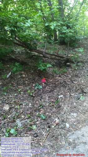 IMG 20230625 215659.jpg