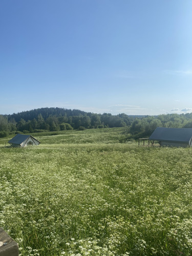 IMG 6716.jpg