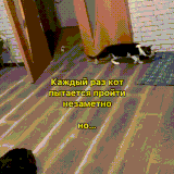 sobakot.gif