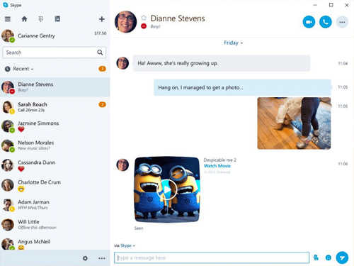 skype screenshot.png