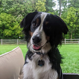 PXL 20230623 225046337~2