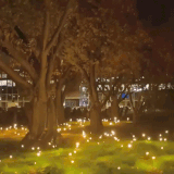 giphy (1).gif