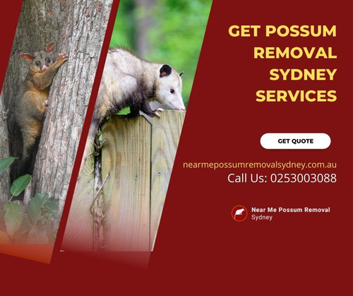 Get Possum Removal Sydney Services.jpg