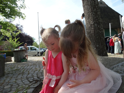 DSC03956.jpg