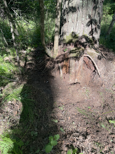 D4EE1B2D 009A 4724 BD54 0EDA1BC3BDEB.jpg