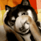HSKa4Tu.gif