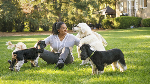 201707 omag cover oprah playing with dogs 949x534.jpg