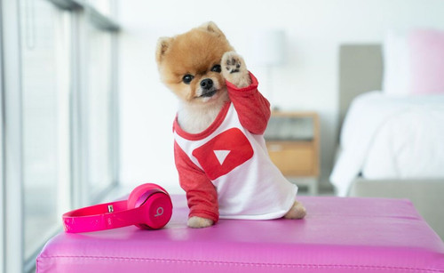Jiffpom YouTube channel.jpg