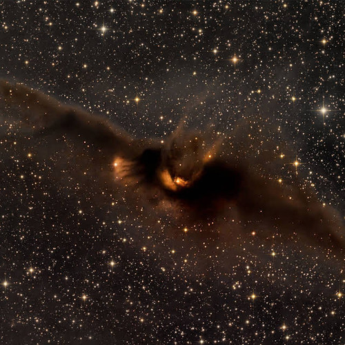 bat shaped nebula LDN 43.jpg