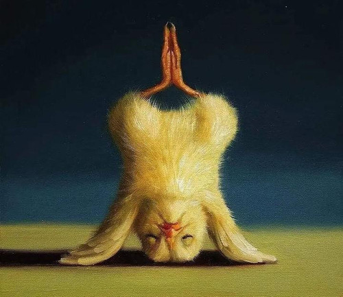 image.jpg