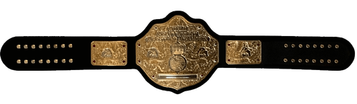 IMG 44 044 0 (1) (1).png