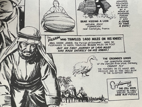 Ripleys Cartoon Pilgrim.jpg