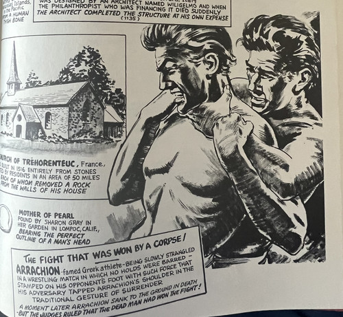 Ripleys Cartoon.jpg