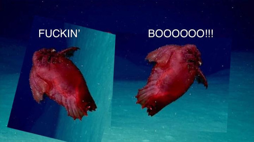 headless chicken monster min.jpg