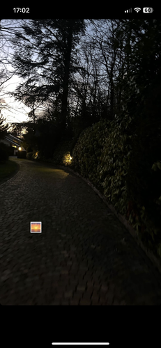 IMG 2916.png